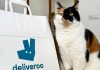 Pet day, su Deliveroo il migliore amico dell’uomo è il gatto, ordini doppi rispetto ai cani