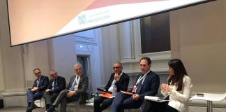 Loizzo (Lega): “Digitale chiave per equità di accesso a Ssn e omogeneità tra Regioni”