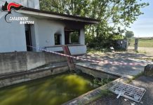 Borgocarbonara, incendio nell’ex ditta di smaltimento rifiuti: stabile inagibile