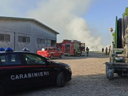 Sarginesco: incendio nell’azienda agricola, a fuoco stalla e rotoballe