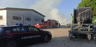 Sarginesco: incendio nell’azienda agricola, a fuoco stalla e rotoballe