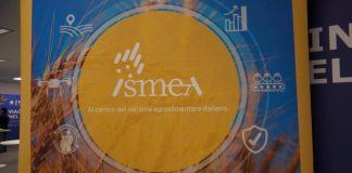 Vinitaly, vino italiano leader: focus su mercati esteri e nuovo bando OCM Promozione