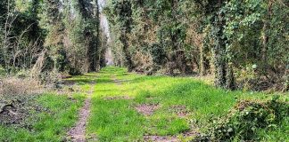 Ostiglia, disperso in preda al panico sull’Isola Boschina: salvato minorenne