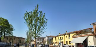 San Silvestro, via Chiesa cambia volto: carpini impiantati, sull’altro lato tornano i tigli