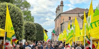 Volta Mantovana: il mercato di Campagna Amica protagonista alla Mostra nazionale dei vini passiti