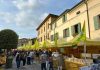 A Volta Mantovana Vini Passiti protagonisti con Campagna Amica e i sapori del territorio
