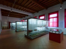 Sabato 18 aprile il MuVi si racconta al Museo Diocesano: cultura e territorio protagonisti