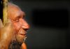 La rivincita dell’uomo di Neanderthal, non fu soppiantato dai Sapiens perché meno intelligente
