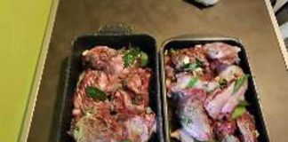 Nutrie arrosto a Pasquetta? Bassetti: “Come mangiare i topi”