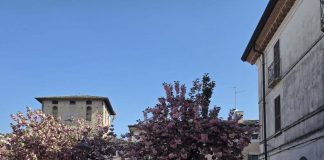 Ceresara, in 700 alla “Passeggiata tra i ciliegi in fiore” di Pasquetta