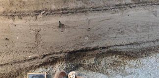 Nuovi ritrovamenti a Pompei, due uomini in fuga dall’eruzione del 79 d.C.