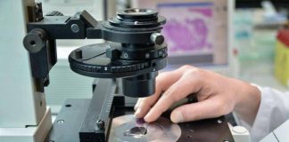 Welfare, Polimi Graduate School of Management: benessere per studente