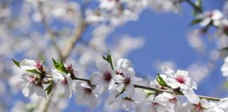Settimana di primavera, meteo variabile e temperature un po’ in calo: le previsioni