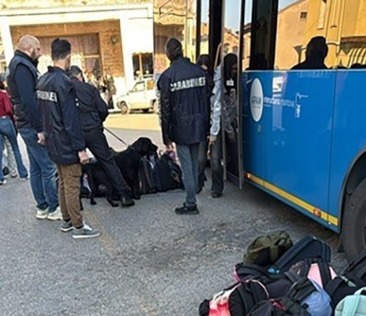 Blitz dei Carabinieri a Ostiglia tra scuole e stazione: hashish scoperto dai cani antidroga