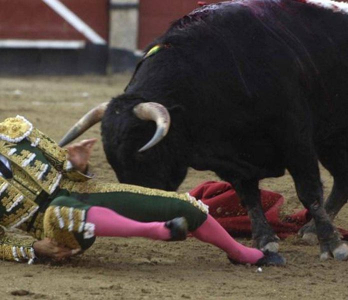 torero_fg_0404