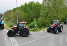 Trattori in Festa celebra a Villa Saviola la passione agricola sul Po