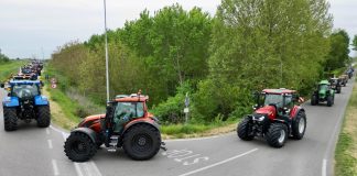 Trattori in Festa celebra a Villa Saviola la passione agricola sul Po