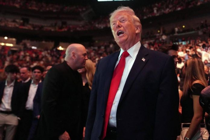 trump_ufc_2_120426