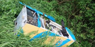 Giornata del Verde Pulito, volontari in azione in Strada Ghisiolo e a Curtatone