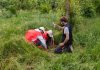 Ambiente, il Progetto Boschi di E.ON supera i 150.000 alberi piantati
