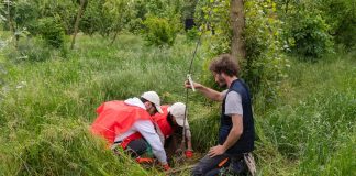 Ambiente, il Progetto Boschi di E.ON supera i 150.000 alberi piantati