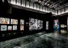 L’arte urbana contemporanea di Obey alle Gallerie d’Italia a Napoli