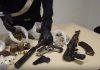 Camorra, blitz contro i “panzarottari”, 26 misure cautelari ad Afragola