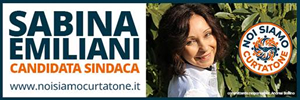 300x100_emiliani