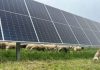 Pegognaga, aree idonee e transizione energetica: confronto pubblico e timori per il territorio