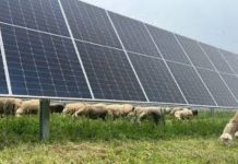 Pegognaga, aree idonee e transizione energetica: confronto pubblico e timori per il territorio