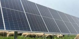 Pegognaga, aree idonee e transizione energetica: confronto pubblico e timori per il territorio