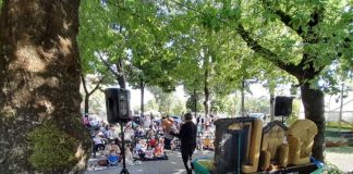 AnimandoMantova apre la 36ª edizione con un debutto travolgente