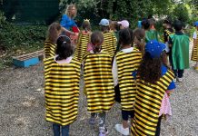 Villimpenta, “ApiAmo” porta i bambini alla scoperta del mondo delle api