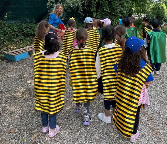 Villimpenta, “ApiAmo” porta i bambini alla scoperta del mondo delle api