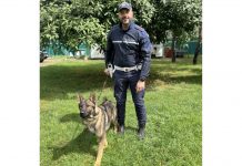 Ecco Aran, il primo dei cani antidroga della Polizia Locale di Mantova