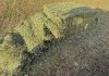 Motteggiana, misterioso furto di corde per botoloni nei campi