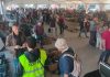 Il mercatino di Marzaglia conquista Gonzaga: successo alla Fiera Millenaria
