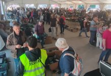 Il mercatino di Marzaglia conquista Gonzaga: successo alla Fiera Millenaria