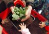 Castel d’Ario, i bambini coltivano il “Giardino scolastico” della gentilezza