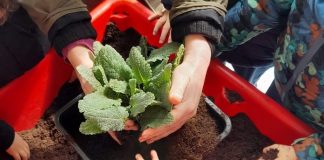 Castel d’Ario, i bambini coltivano il “Giardino scolastico” della gentilezza