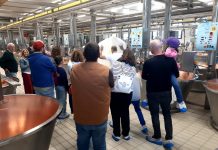 Villa Saviola, Corti e Cascine al Gonfo: famiglie nel cuore del Parmigiano Reggiano