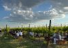 Domenica torna “Per Corti e Cascine”: 47 le aziende agricole protagoniste