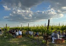 Domenica torna “Per Corti e Cascine”: 47 le aziende agricole protagoniste