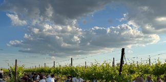 Domenica torna “Per Corti e Cascine”: 47 le aziende agricole protagoniste
