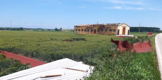 Maltempo e danni: strage di alberi in diversi paesi del Mantovano. Capannone scoperchiato
