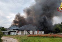Rogo nel capannone agricolo: crolla il tetto. Vigili del fuoco al lavoro