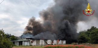 Rogo nel capannone agricolo: crolla il tetto