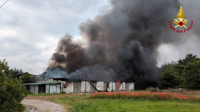 Incendio Rodigo 2