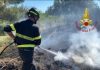 Piumini di pioppo in fiamme: nuova giornata di roghi nel Mantovano