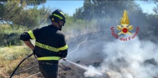 Piumini di pioppo in fiamme: nuova giornata di roghi nel Mantovano